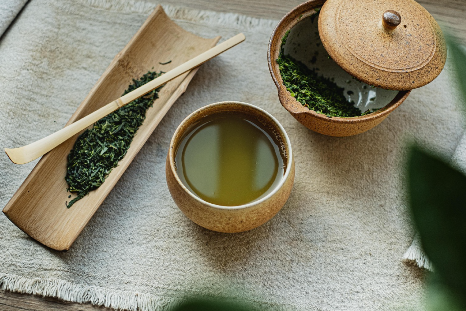 Green Tea Novel Food Regulatory Update
