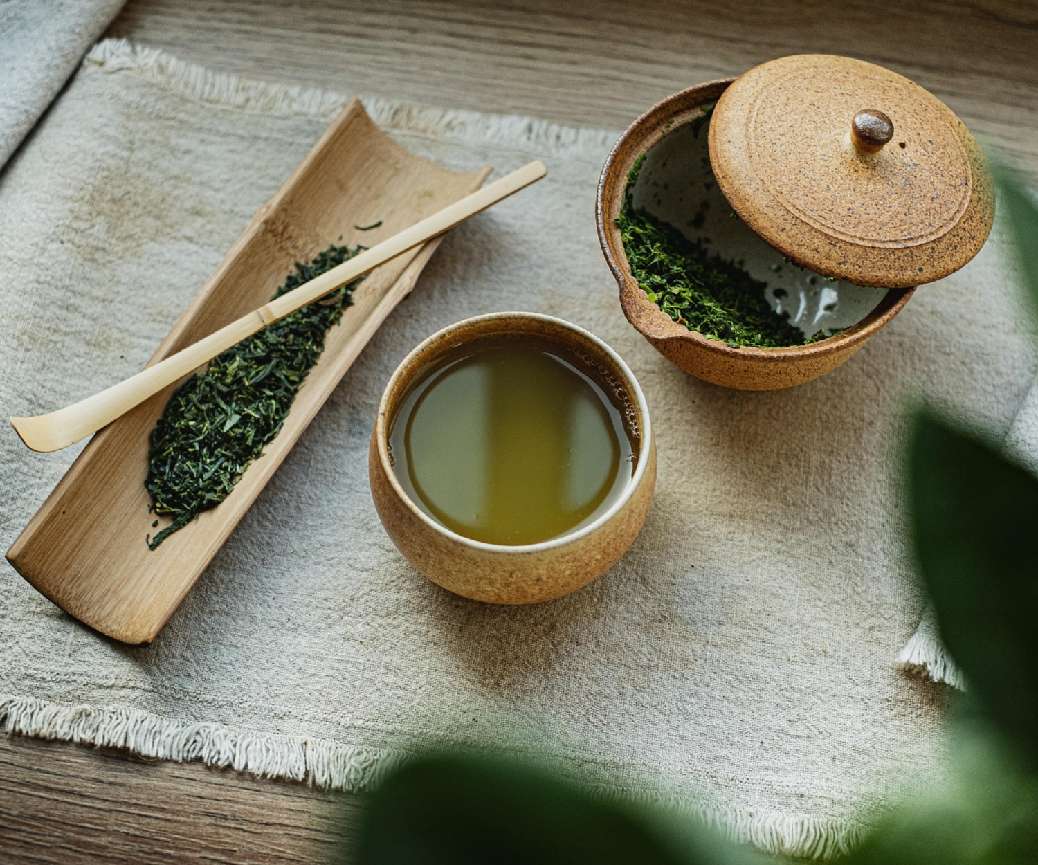 Green Tea Novel Food Regulatory Update